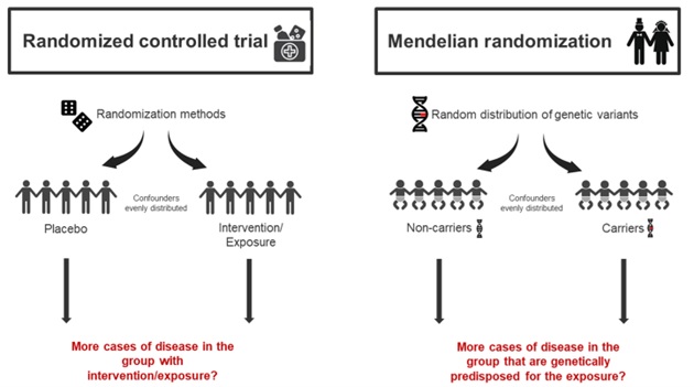 A comparison of different methods of exposure<br srcset=